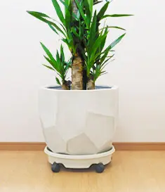 40型 多面体型