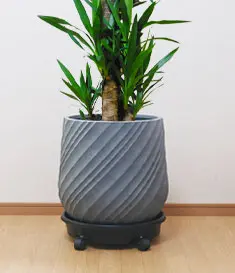 40型 スパイラル型