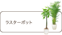 ラスターポット