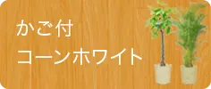 かご付コーンホワイト