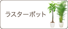 ラスターポット