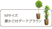 Ｍサイズ、籐かご付ダークブラウン