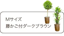 Ｍサイズ、籐かご付ダークブラウン