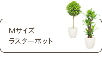Ｍサイズ、ラスターポット付