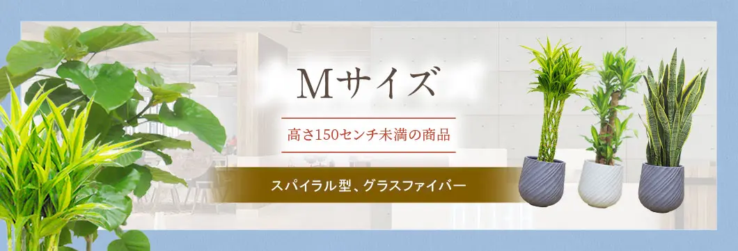 観葉植物、Mサイズ、スパイラル型、グラスファイバー、１５０センチ未満の商品