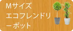Ｍサイズ、籐かご付ダークブラウン