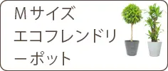 Ｍサイズ、籐かご付ダークブラウン