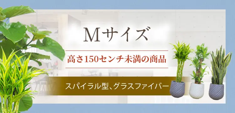 観葉植物、Mサイズ、スパイラル型、グラスファイバー、１５０センチ未満の商品
