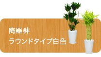 スタイリッシュ、陶器鉢ラウンドタイプ白色