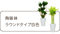 スタイリッシュ、陶器鉢ラウンドタイプ白色