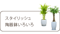 スタイリッシュ、陶器鉢いろいろ