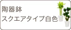 スタイリッシュ、陶器鉢スクエアタイプ白色