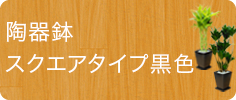 スタイリッシュ、陶器鉢スクエアタイプ黒色