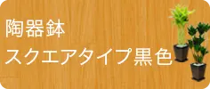 スタイリッシュ、陶器鉢スクエアタイプ黒色