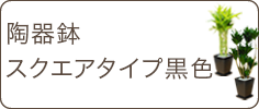 スタイリッシュ、陶器鉢スクエアタイプ黒色