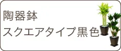 スタイリッシュ、陶器鉢スクエアタイプ黒色