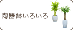 スタイリッシュ、陶器鉢いろいろ