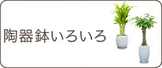 スタイリッシュ、陶器鉢いろいろ