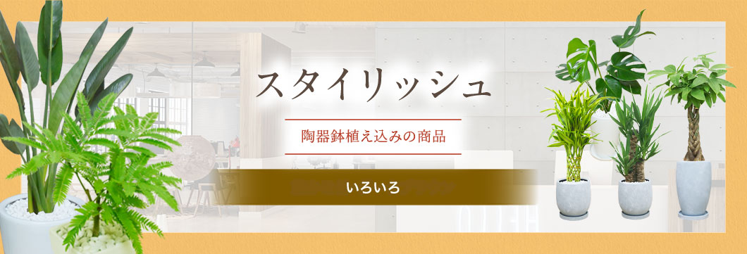 スタイリッシュ 陶器鉢いろいろ