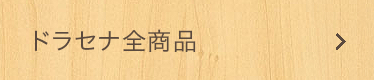 ソングオブインディア、ソングオブジャマイカ、ドラセナコンパクター全商品