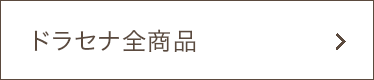 ソングオブインディア、ソングオブジャマイカ、ドラセナコンパクター全商品