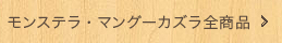 モンステラ、マングーカズラ全商品