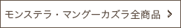 モンステラ、マングーカズラ全商品