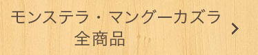 モンステラ、マングーカズラ全商品