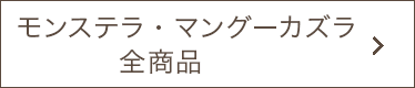 モンステラ、マングーカズラ全商品