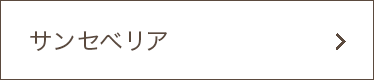 サンセベリア（トラノオ、虎の尾）