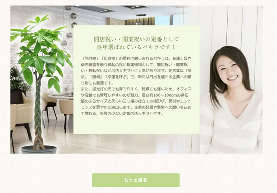 観葉植物の大きさ比較