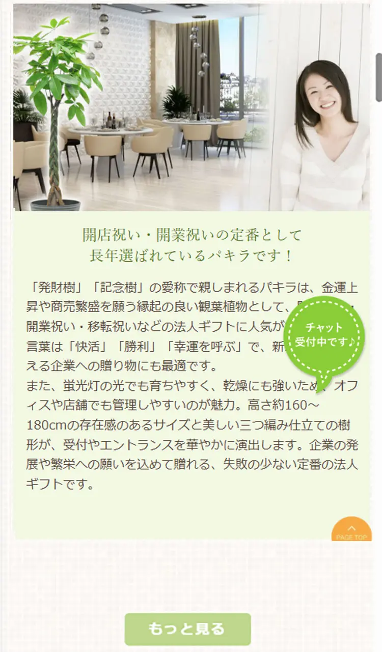 観葉植物の大きさ比較
