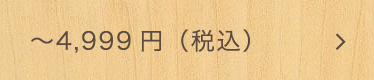 ～4,999円（税込）
