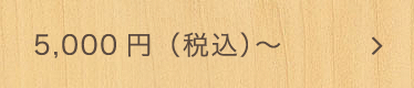 5,000円（税込）～