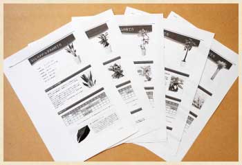 観葉植物の育て方説明書画像