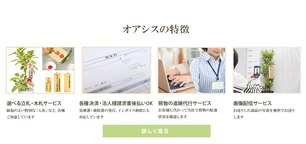 観葉植物の大きさ比較