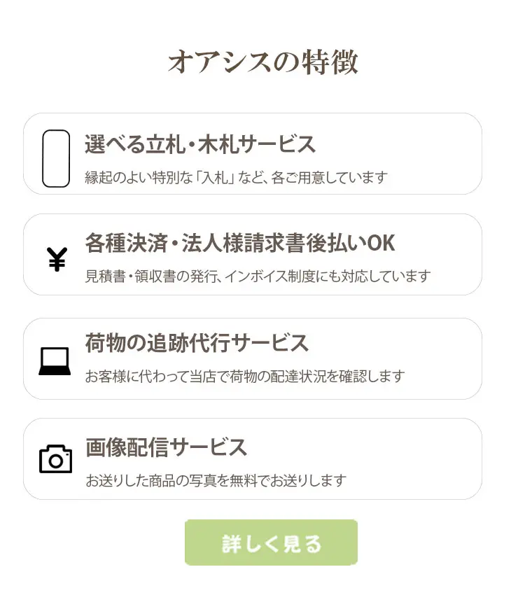 観葉植物の大きさ比較