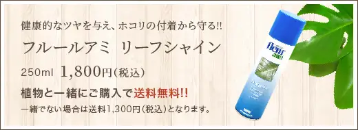 健康的なツヤを与え､ホコリの付着から守る!! フルールアミ リーフシャイン250ml1,800円(税込)植物と一緒にご購入で送料無料!!一緒でない場合は送料1,300円(税込)となります｡