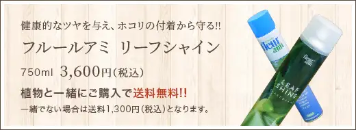 健康的なツヤを与え､ホコリの付着から守る!! フルールアミ リーフシャイン250ml1,800円(税込)植物と一緒にご購入で送料無料!!一緒でない場合は送料950円(税込)となります｡