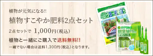 植物が元気になる!! 植物すこやか肥料2点セット 2点セットで1,000円(税込)植物と一緒にご購入で送料無料!!一緒でない場合は送料950円(税込)となります｡