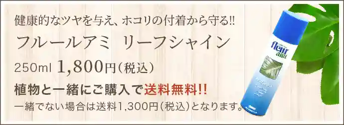 健康的なツヤを与え､ホコリの付着から守る!! フルールアミ リーフシャイン250ml1,800円(税込)植物と一緒にご購入で送料無料!!一緒でない場合は送料1,300円(税込)となります｡