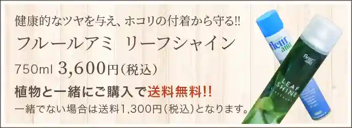 健康的なツヤを与え､ホコリの付着から守る!! フルールアミ リーフシャイン750ml3,600円(税込)植物と一緒にご購入で送料無料!!一緒でない場合は送料1,300円(税込)となります｡