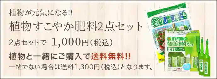 植物が元気になる!! 植物すこやか肥料2点セット 2点セットで1,000円(税込)植物と一緒にご購入で送料無料!!一緒でない場合は送料950円(税込)となります｡