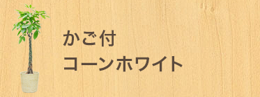 かご付 コーンホワイト