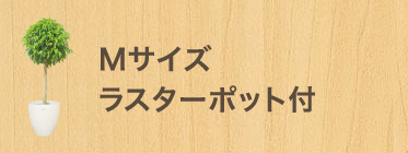 Ｍサイズラスターポット付