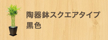 陶器鉢スクエアタイプ 黒色