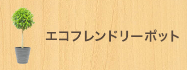Ｍサイズエコフレンドリーポット付