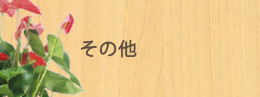 その他