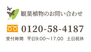 観葉植物のお問い合わせ 0120-58-4187 受付時間  平日9:00～17:00  土日祝休