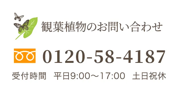 観葉植物のお問い合わせ 0120-58-4187 受付時間  平日9:00～17:00  土日祝休